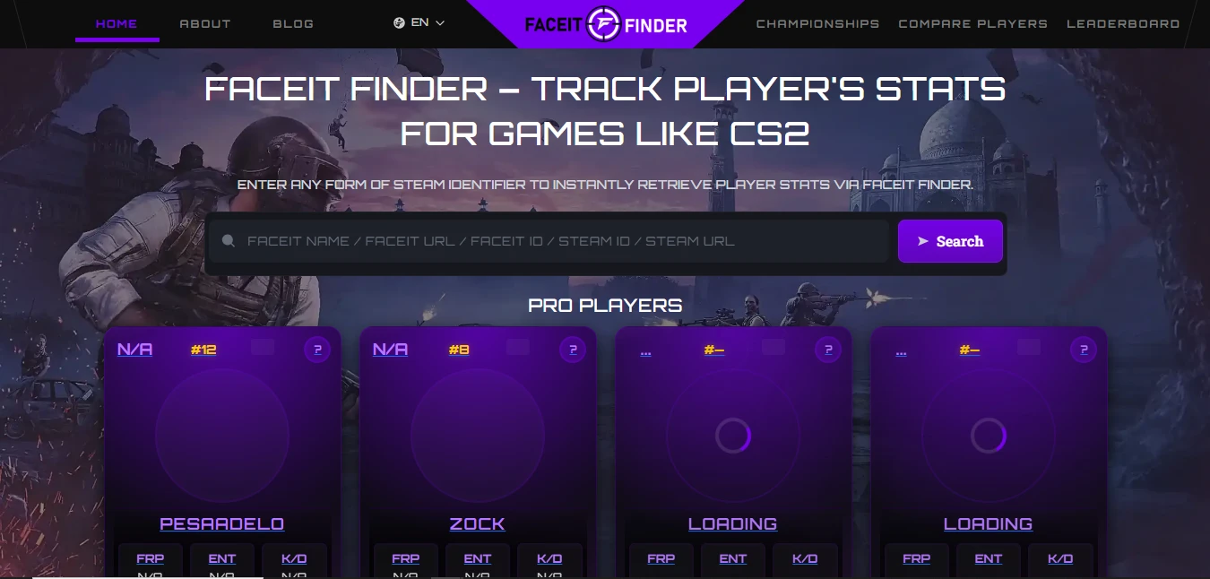 Professional web design example